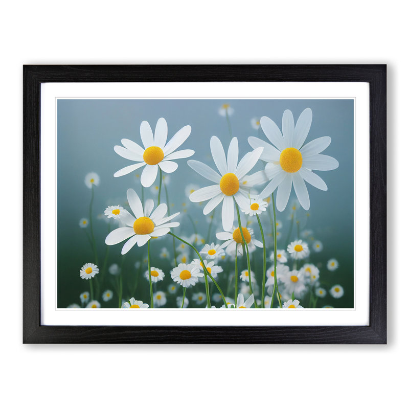 XH1022-9683X Vivacious Daisy Flowers - Single Picture Frame Print, Black, 46cm H x 64cm W