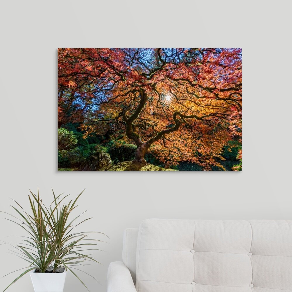 Centioli Photography Japanese Maple Tree Print & Reviews 