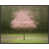 Black Framed Canvas