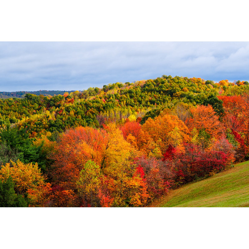 Fall Colors In Hocking Hills Ohio by Shascott - Wrapped Canvas Print, 30cm H x 46cm W x 3.8cm D