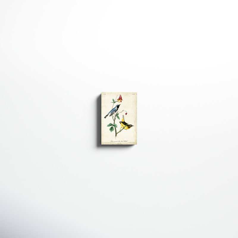 «Black-throated Blue Wood Warbler», peinture sur toile, H 12 po x l 8 po