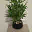Photos des clients 1 de 1