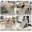Escalier pour animal 4 marches Friedlaender-1854316090