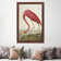 American Flamingo by John Audubon - Floater Frame Painting on Canvas