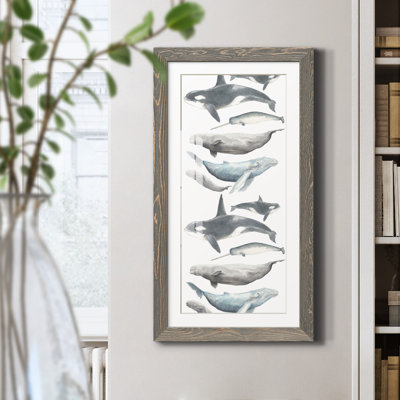 Watercolor Whale Collection B - Reproduction d'art graphique sur papier encadré