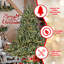 Full-Shaped Christmas Tree With Metal Stand-117479387-117479395