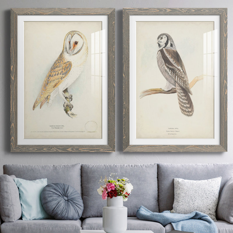 Barn Owl Premium encadré mat - prêt à accrocher, H 31,5 po x l 23,5 po x P 1 po, gris