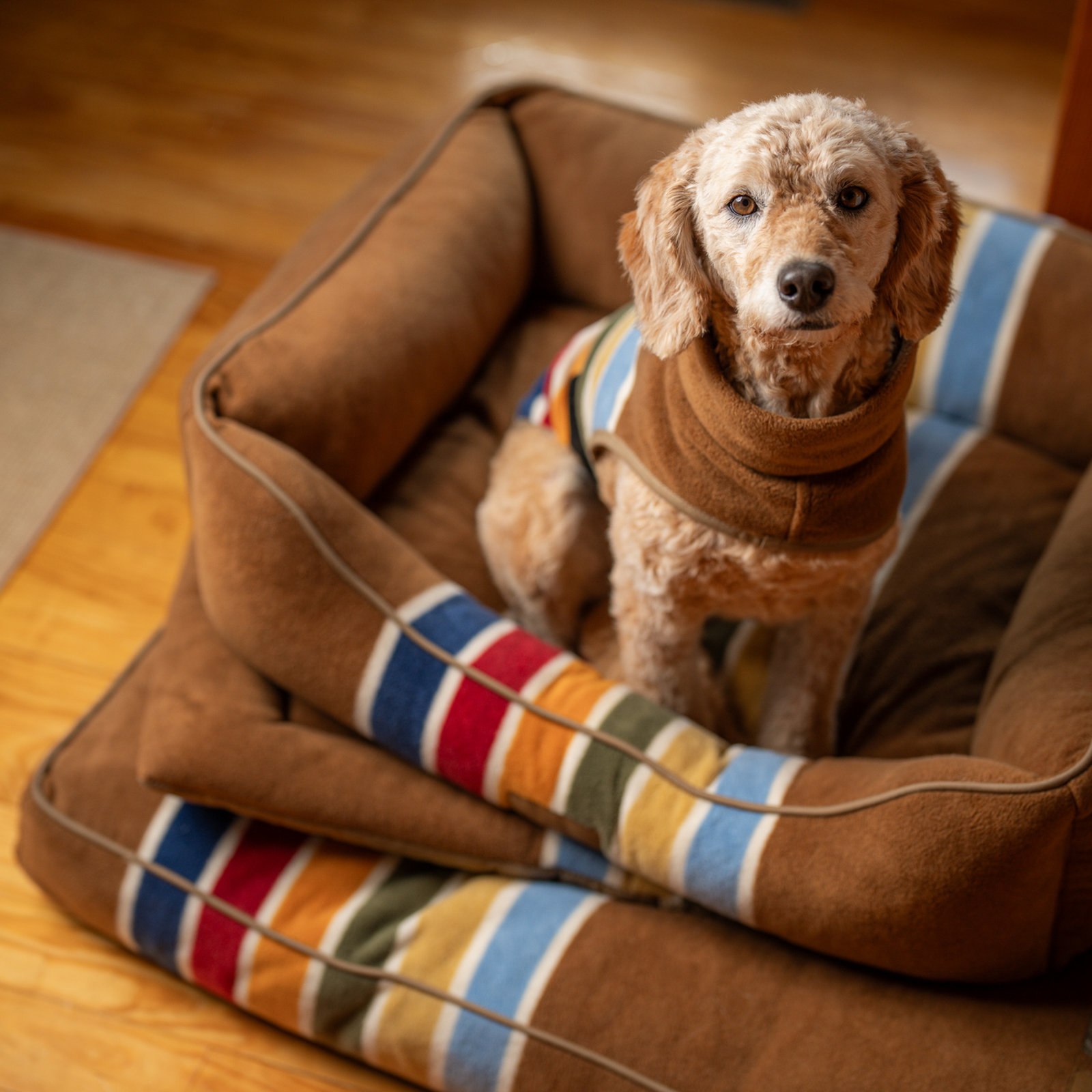 Pendleton Grand Canyon Kuddler Dog Bed, X-Large (10.5" H x 42" W x 30" D), Joshua Tree