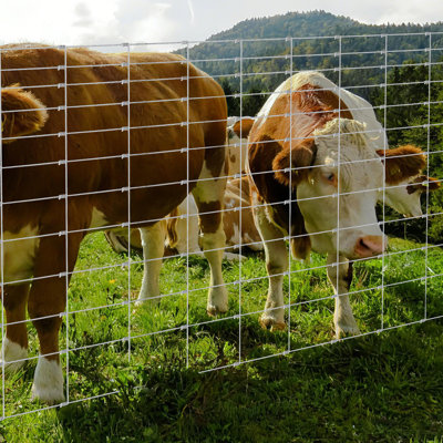 Heavy Duty Galvanized Wire Livestock Fence - Durable Metal for Cattle, Goat & Deer Protection - Secure Farm & Yard Material Transport, 164ft Length, 4ft Height Options