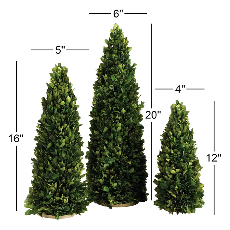 High Cone Topiary