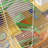 Versatile Hamster Cage with Multiple Play Features and Portable Handle