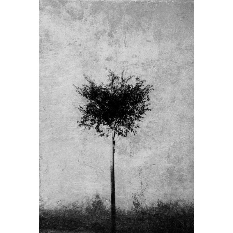 Wrapped Canvas Print, 76.2 cm H x 50.8 cm W