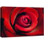Fleur en fleur «Gros plan, détail, romantique, rose, fleur, photographie florale, décor zen botanique» sur-99543910