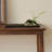 Black Walnut Solid Wood Plant Stand for Balcony
