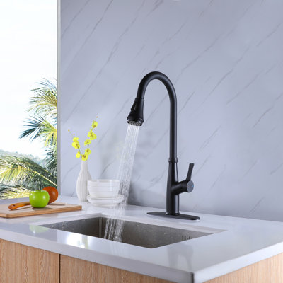 Selected Pull Down Kitchen Faucet