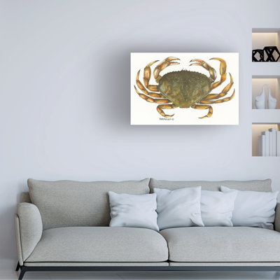 Dave Bartholet Dungie Canvas Art
