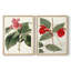 Impression encadrée FloraOf TheTropicsI-Premium - prête à être accrochée - aucun clou requis - aucun clou requis-1495708584-1495708589