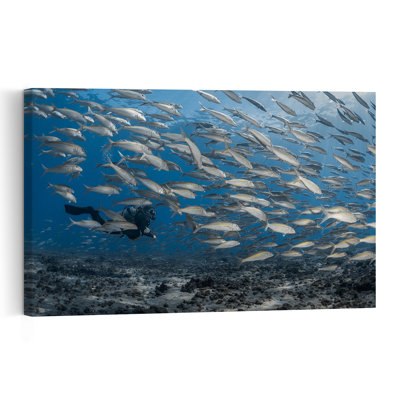 Scuba Diver Fish School Serene Contemporary Fish Nature Ocean Wall Art Print