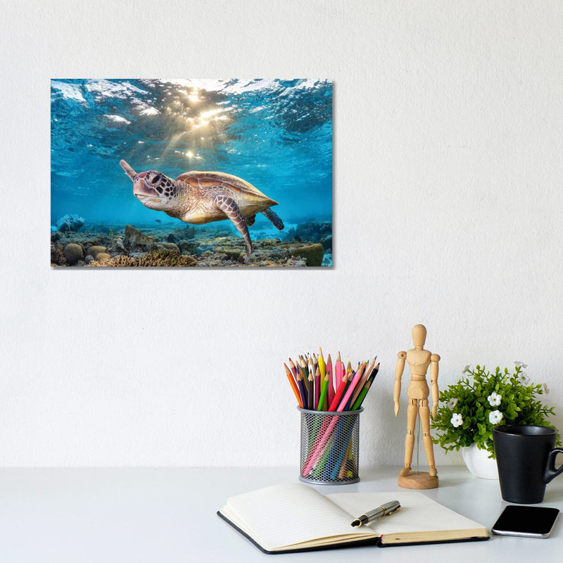 Swimming In The Golden Light by Jordan Robins - Print on Canvas, No Framed, 101.6 cm H x 66.04 cm W x 3.175 cm D