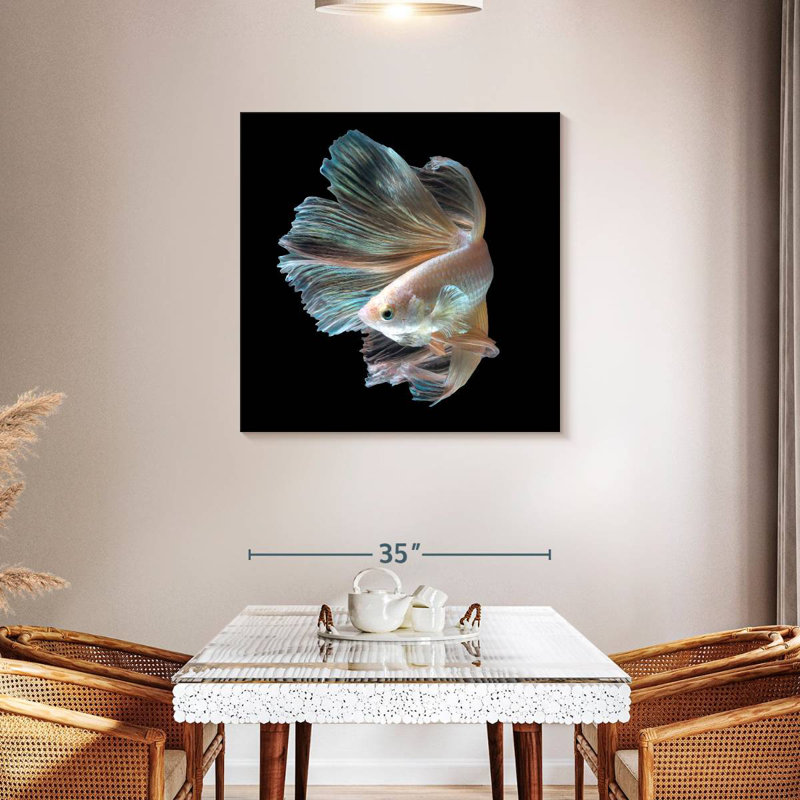 Crowle Majestic Siamese Betta Fish, 36" H x 36" W
