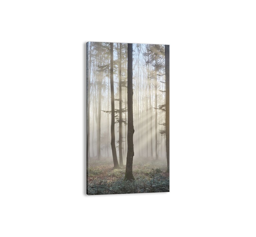 Leinwandbild - Fotografie „The Fog Has Also Woken Up”