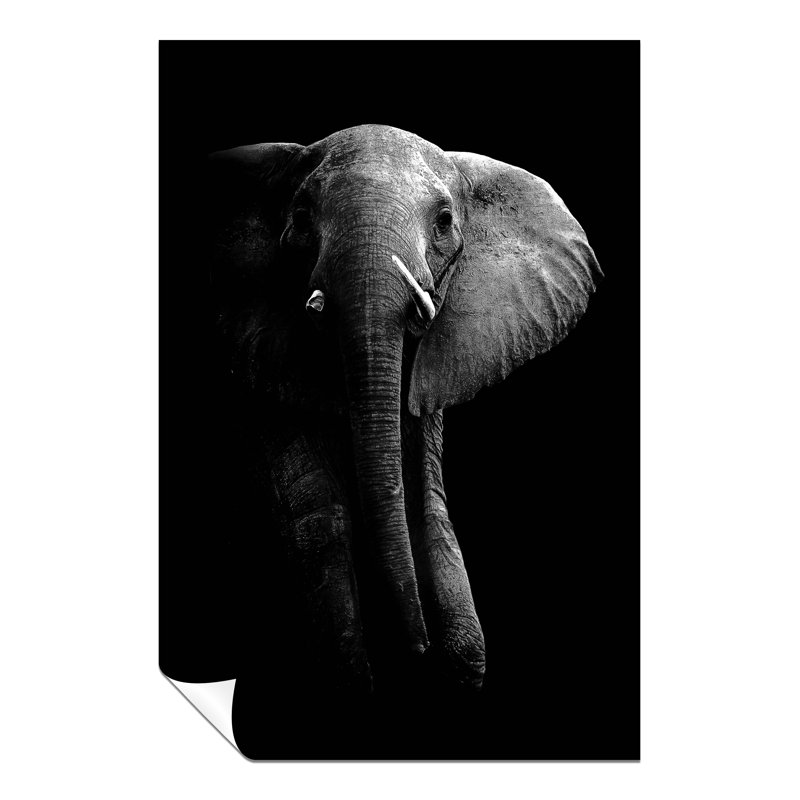 Panther Print Fine Art Prints - No Frame Print, 31cm H x 20cm W