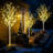 Lighted Trees & Branches