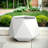 Maplewood Pot Planter-643301472-643301836