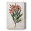 Laurier Rose - galerie Cavas sur mesure-117781231