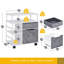 Classeur vertical mobile 2 tiroirs Brontie