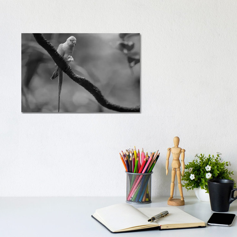 Rose-ringed Parakeet Feeding, Jurong Bird Park, Singapore by Tim Fitzharris - Gallery-Wrapped Canvas Giclée on Canvas, Canvas