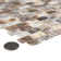 Conchella 0.56" x 0.95" Seashell Random Mosaic Tile