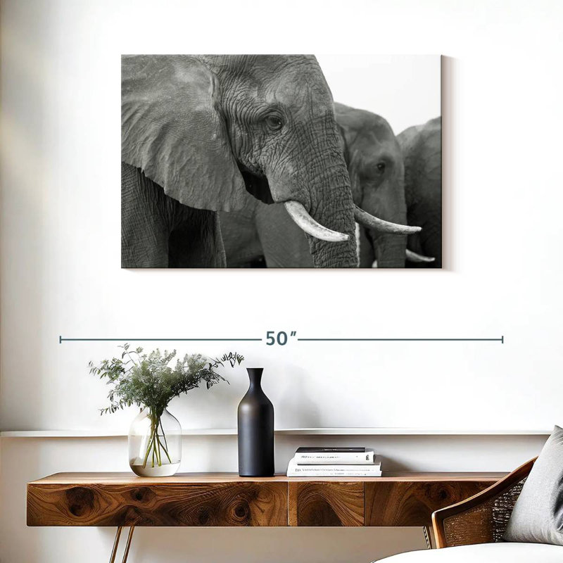 Brampt Elephant Ivory Tusks, 24'' H x 36'' W