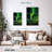 Northern Lights Trail-169959501