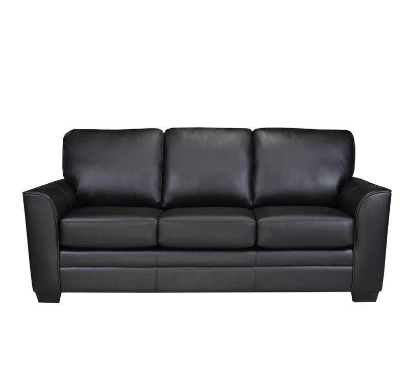 Canapé en cuir Nadin de qualité supérieure avec coussins de dossier moelleux, H 37 po x l 84 po x P 36 po, Noir
