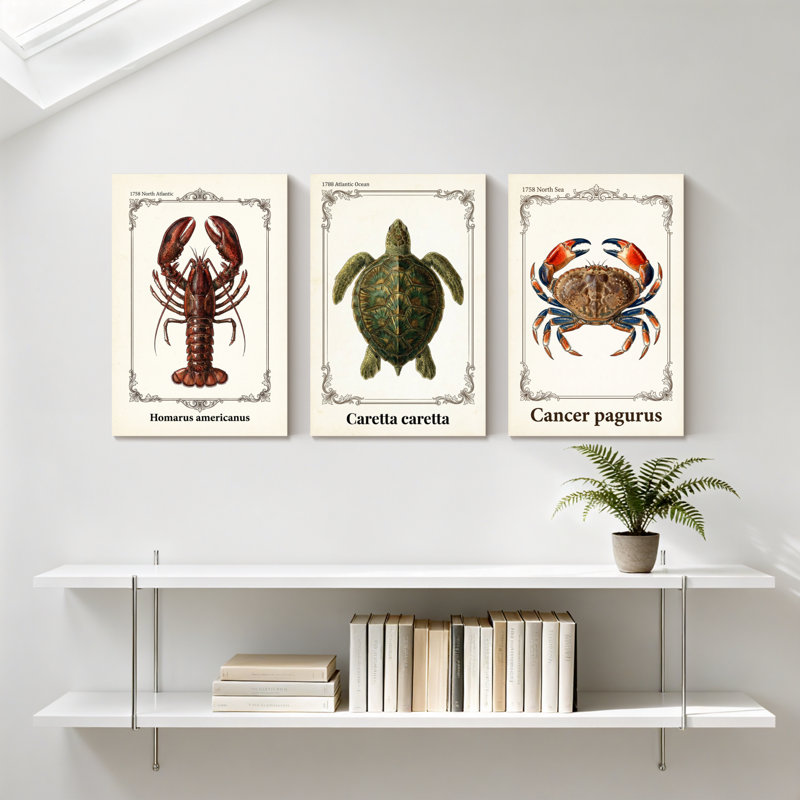 Ensemble de 3 reproductions d'art sur toile, "Lobster Turtle Crab", H 18 po x l 36 po