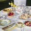 Royal Albert Miranda Kerr Australiana Teacup, Saucer & Plate 3-Piece Set