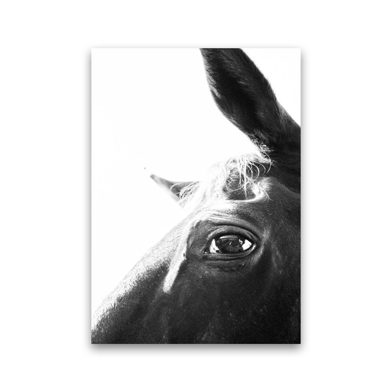 Eye Of The Beholder by Victoria Frost - Print, Unframed, 59cm H x 42cm W x 1cm D