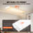 Dimmable Rectangle Wrap Around