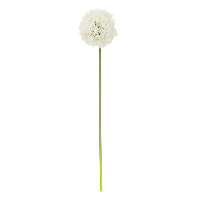 Fiori Allium Arrangement
