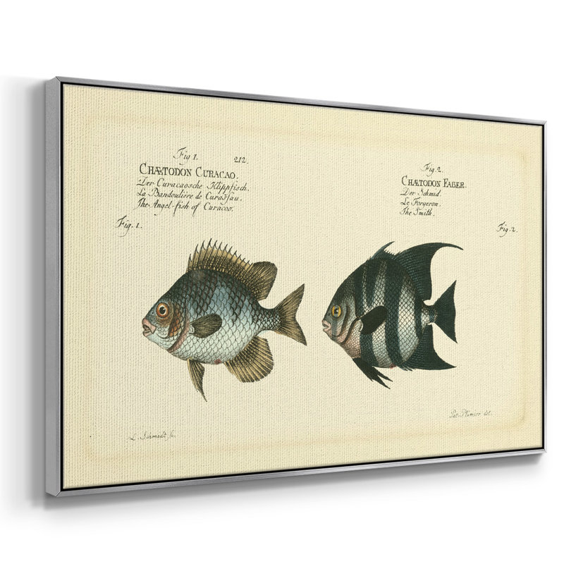 Bloch Antique Fish II, reproduction d'art sur toile, H 25 po x l 37 po x P 2 po, Argent