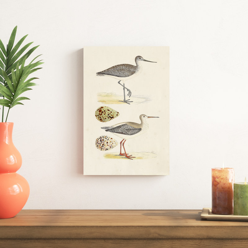 «Sandpipers and Eggs I», impression sur toile, H 18 po x l 12 po