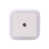 White est en rupture de stock
