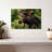 Brampt Wild Bull Moose-107875337