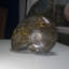 Aloisa Landscape & Nature Crystal