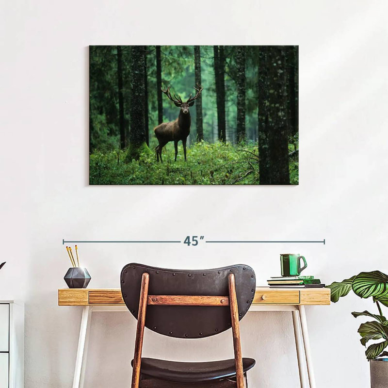 Brampt Elk In Forest, 24'' H x 36'' W