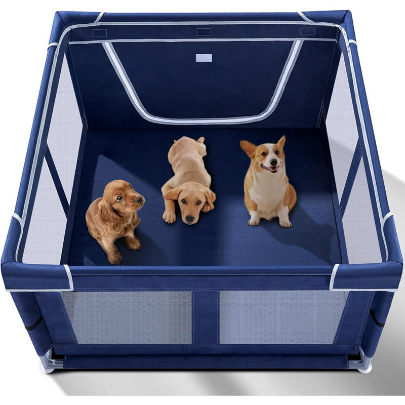 Intérieur pour petits animaux de compagnie, enclos pour chiens