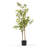 Artificial Pieris Tree In Nursery Pot-159632583