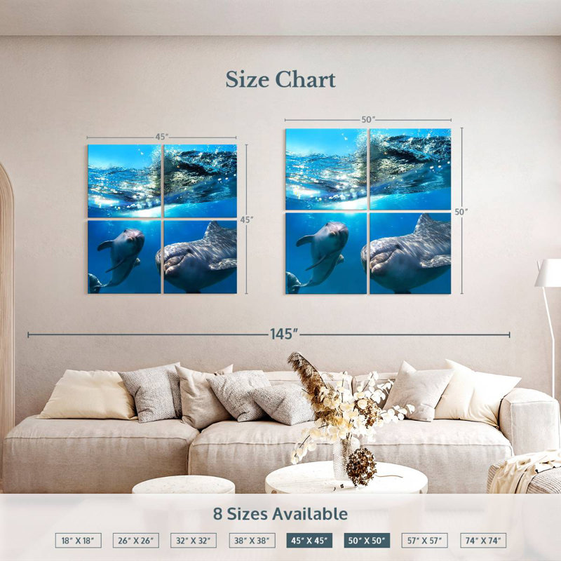 Dauphins ludiques Brampt, H 50 po x l 50 po