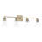 4 - Light Dimmable Vanity Light-24121742